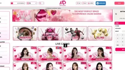 모델 먹튀 확정