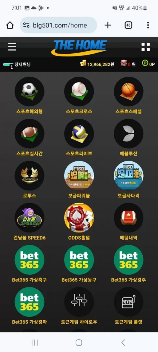 17516174809658.webp