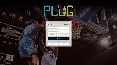 플러그 먹튀 확정