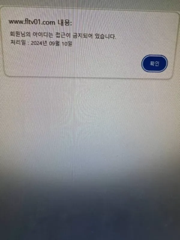 17516176168039.webp