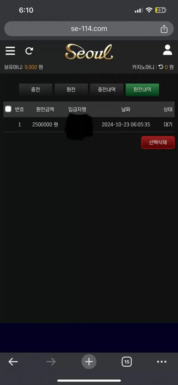 17516179733067.webp