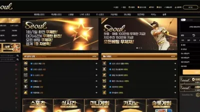 서울 먹튀 확정