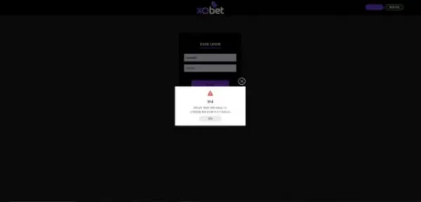 17516181321854.webp