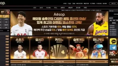 이솝 먹튀 확정