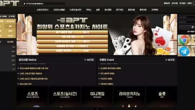 APT 먹튀 확정
