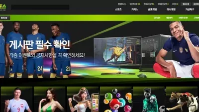 지포스 먹튀 확정