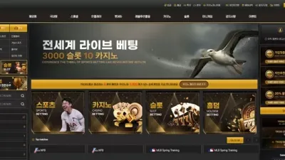 트로스 먹튀 확정