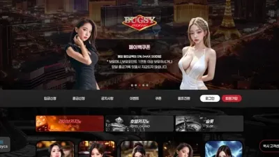 벅시 먹튀 확정