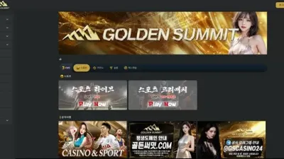 골든써밋 먹튀 확정