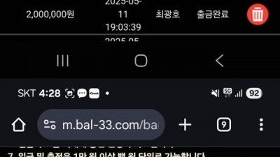 balance 먹튀 확정