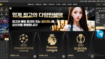 골드머니 먹튀 확정