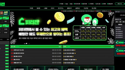 피터팬 먹튀 확정