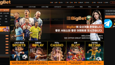 빅벳 먹튀 확정