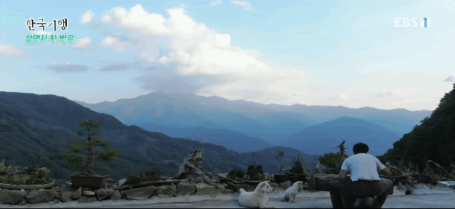 17538771287921.gif