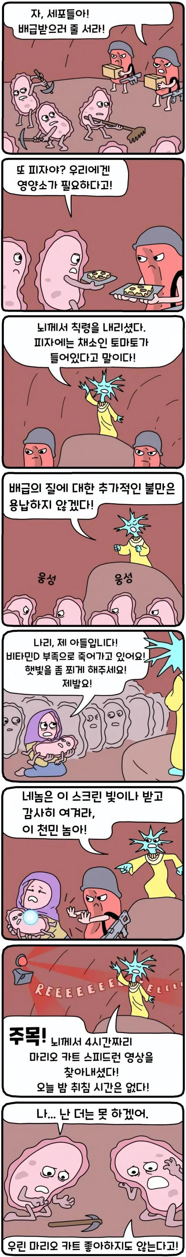 17518677832648.jpeg