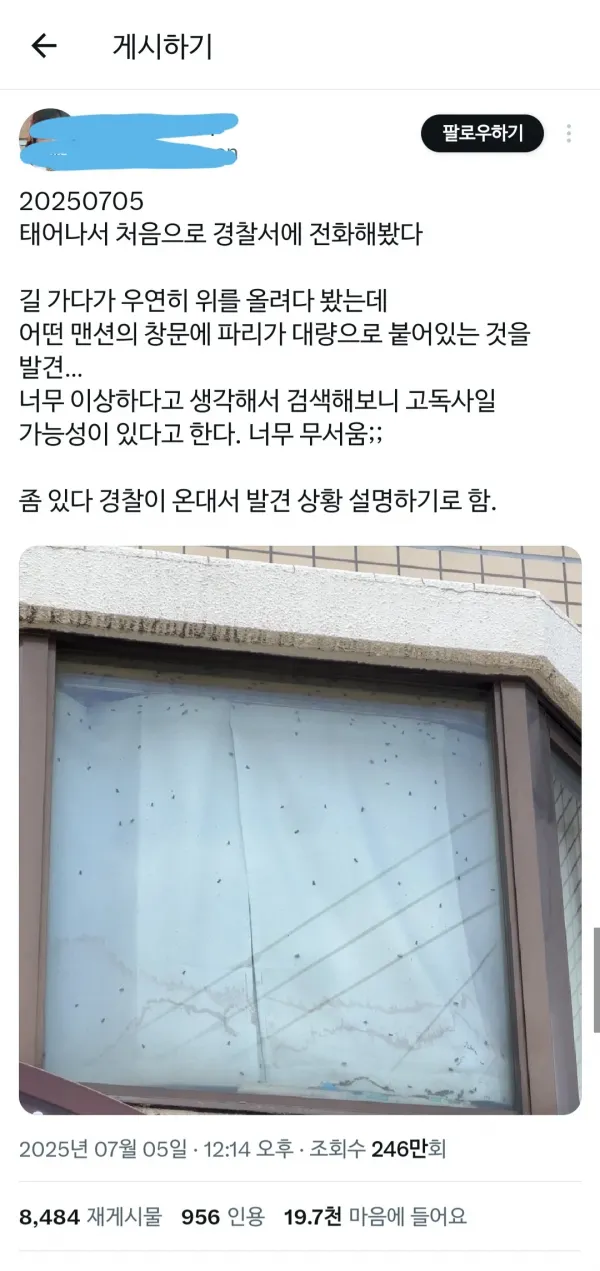 17518681946554.webp