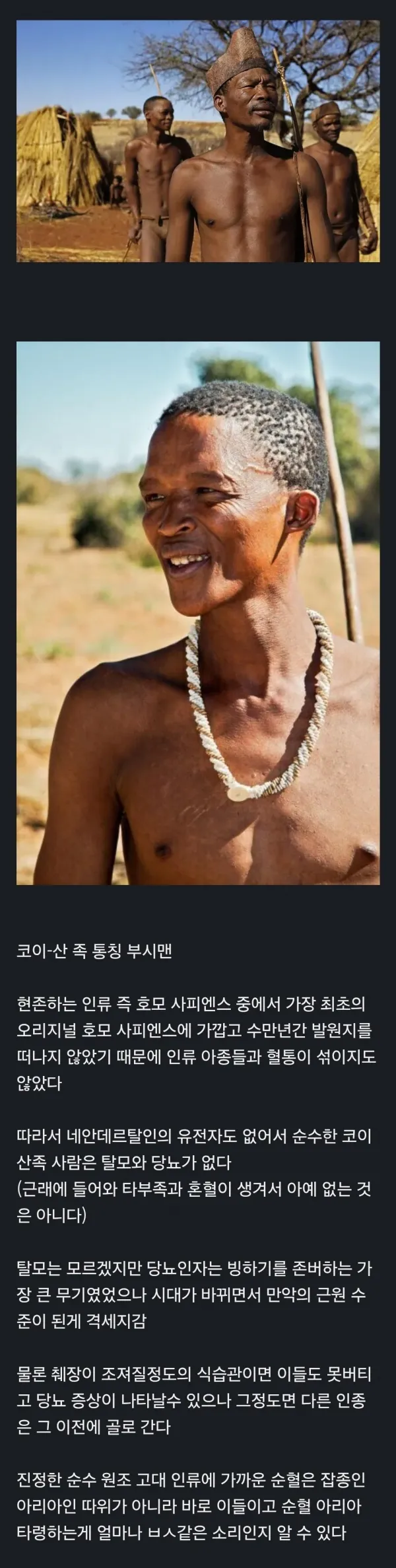 17518682249647.webp