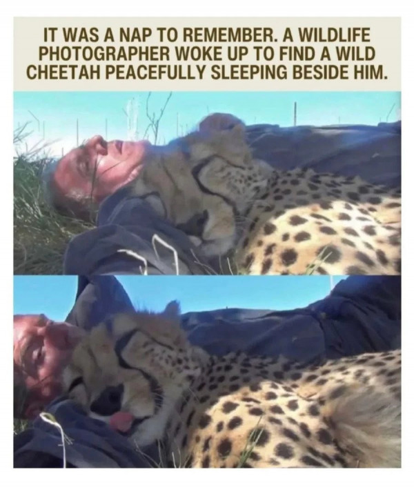 17518684809844.jpeg