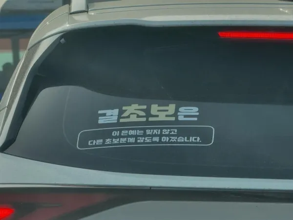 17518698525224.webp