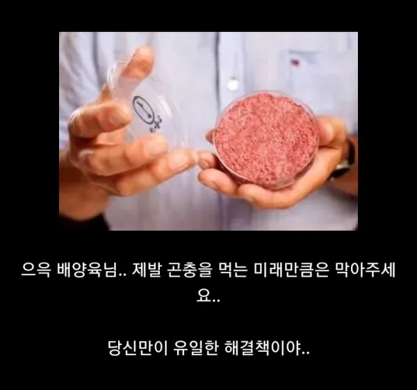 17518704502826.webp