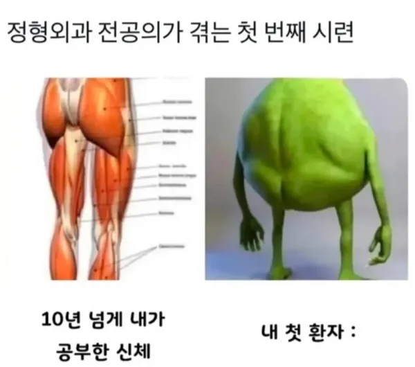17521419508449.webp