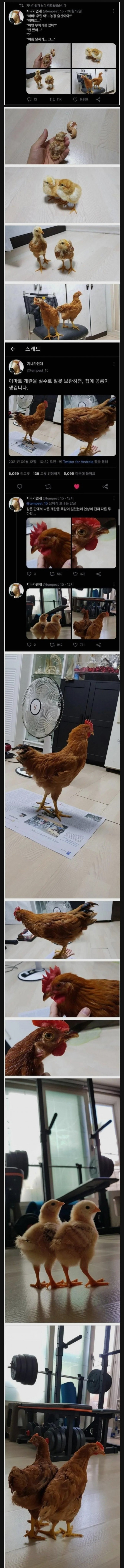 17523003554599.jpeg