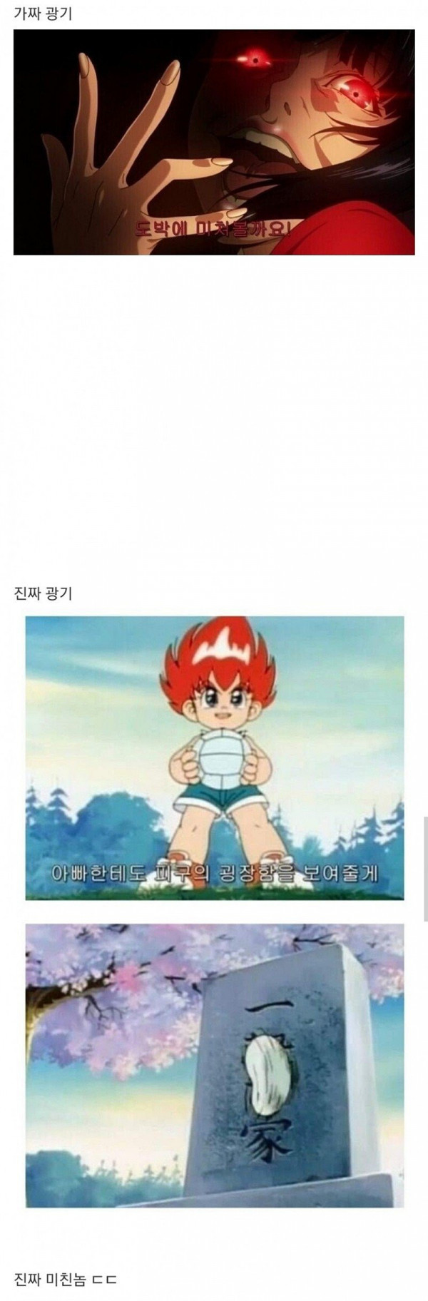 17523723847691.jpeg
