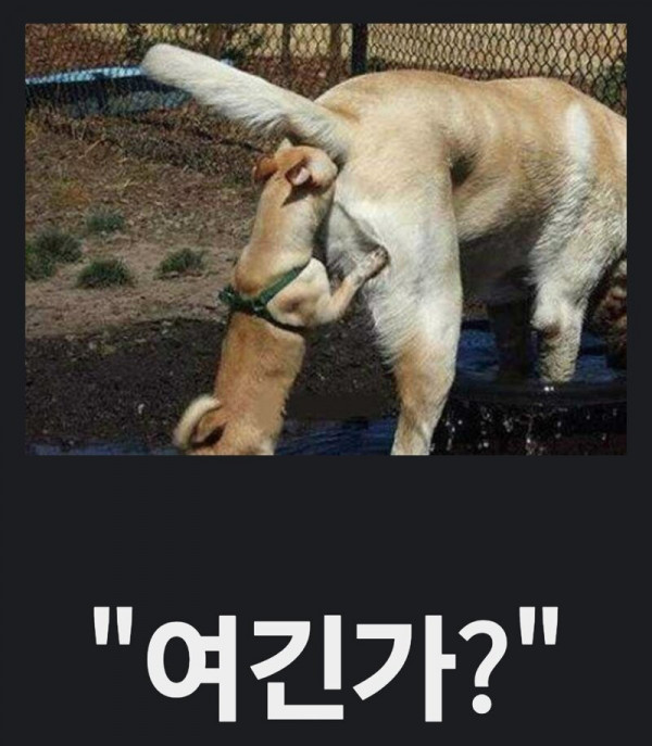 17543019323896.jpg