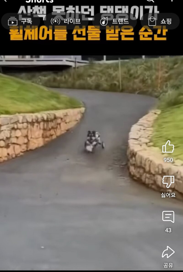 17543955365952.jpg
