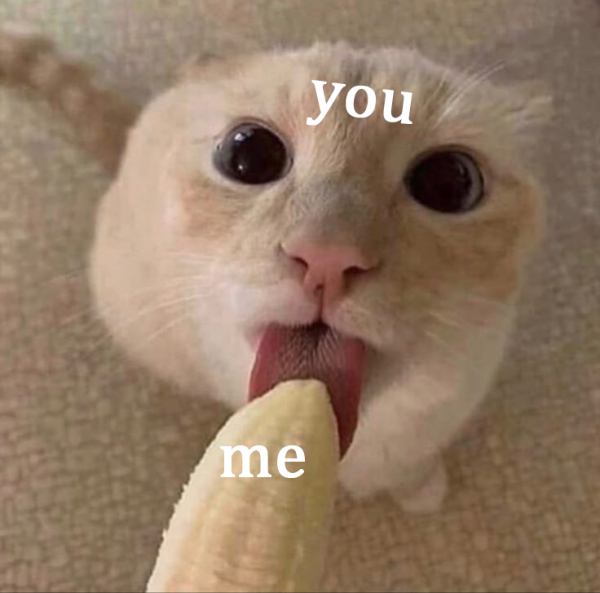 17544170929982.png