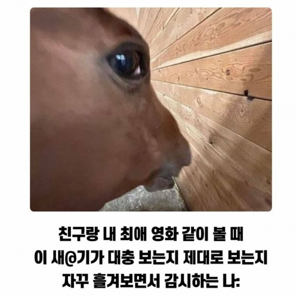 17551299077499.jpg