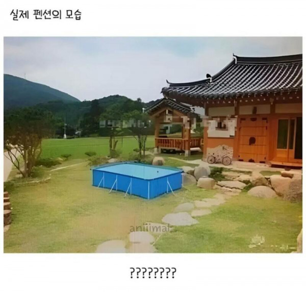 17555259386776.jpg