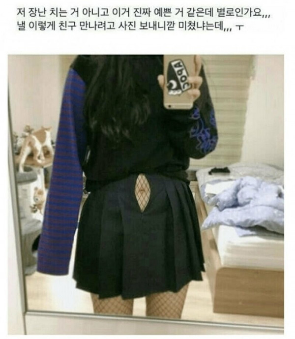 17560875668253.jpg