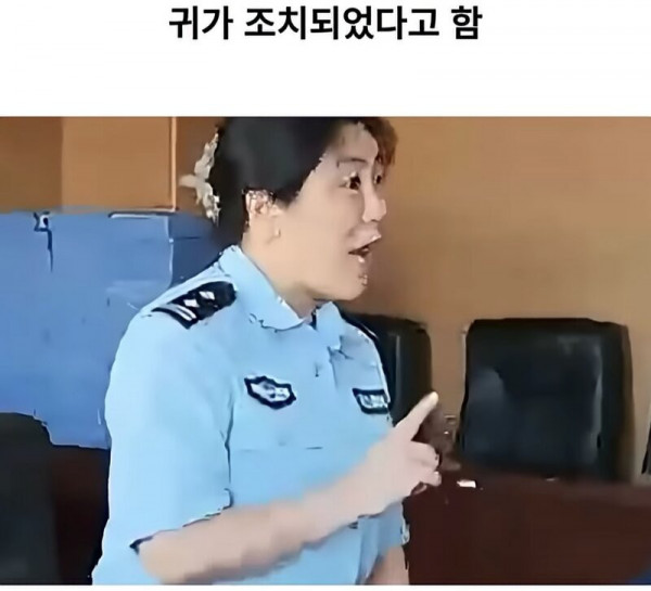 17562026707715.jpg