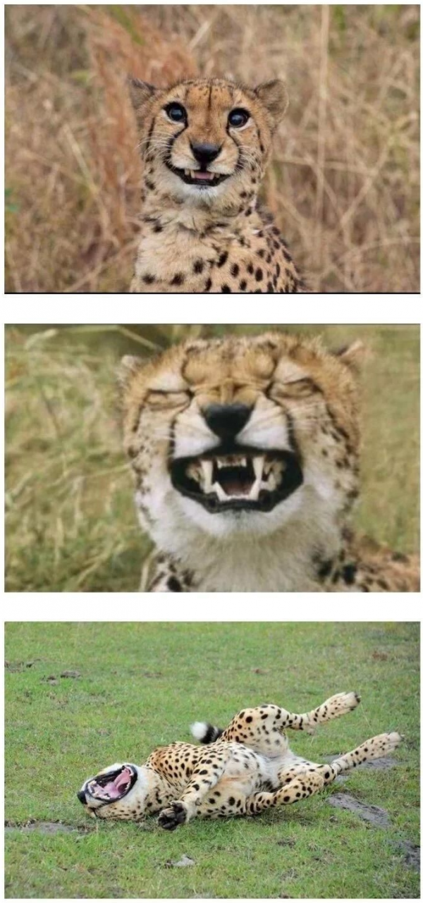 1757462679907.png