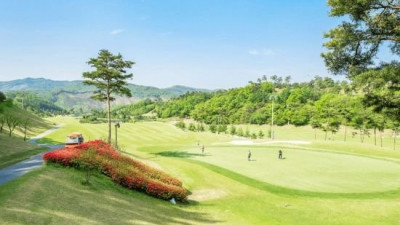 국내 골프장, 왜 영업 이익 급감했나