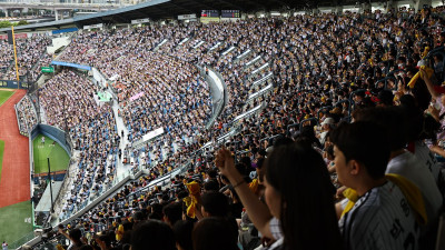 [SW광장] 천만관중의 그늘… ‘팬心’ 이름 빌린 폭력, 더 이상 쉬쉬할 수는 없잖아요