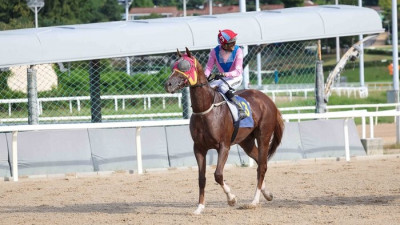 ‘축지법 쓰듯 대역전극’ 무제한급, 문화일보배 우승