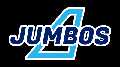 대한항공 배구단, 20년 만에 엠블럼 교체… “미래 향한 도전 의지”