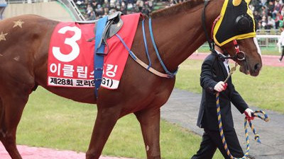 ‘무서운 신예’ 이클립스더킹, 장거리 명마 등용문 도전장