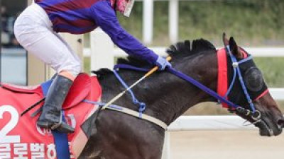 “자존심 회복” 글로벌히트 vs “한 번 더 우승” 석세스백파