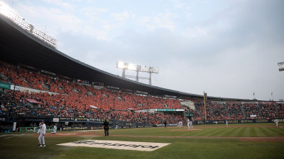 “한국시리즈 입장권 최고 999만원까지 거래” 정연욱 의원, 암표 문제 지적