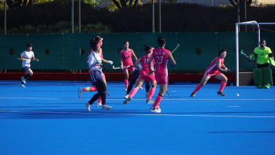 문체부, 2026년도 직장운동경기부 창단·운영 193억 원 규모 지원