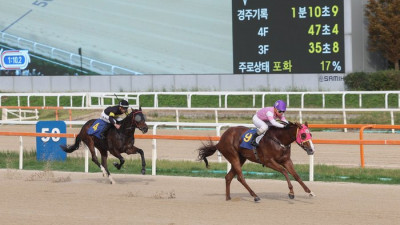 꿈을 향한 최종장 한국마사회 ‘브리더스컵 루키&퀸’ 대상 경주, 23일 열린다
