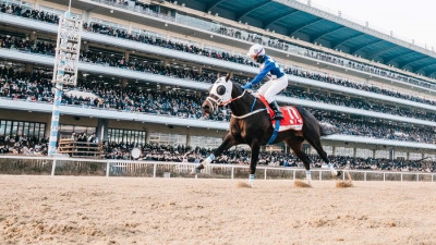 10년·27년·34년만 부활한 기록…3세마 신기록까지 쓴 클린원, 제43회 그랑프리(G1) 제패