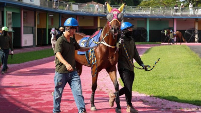 겨울 트랙 위 뜨거운 승부…‘제12회 MBN배’ 우승마는