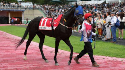 단 1분의 속도전…렛츠런파크 서울, 1200m 1등급 스프린트 결전