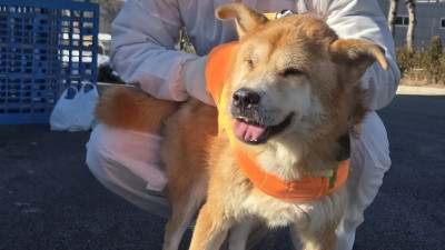 [현장] 유기견 보호소에 뜬 SSG 랜더스… 견사 ‘스윕’, 산책 ‘런다운’, 기부금 ‘송구‘
