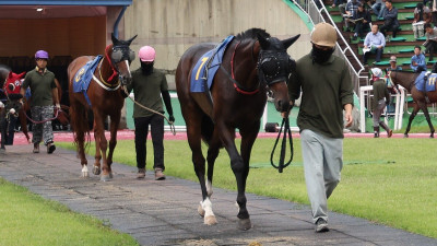 ‘베테랑 vs 신흥강자’… ‘1800m 1등급 경주’ 2월 시작 알린다[경마]