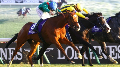 칼란다간 2025 세계 최고 경주마, 포에버 영 日 경마 86년 새 역사…1월의 빅뉴스